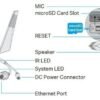 Camara Wifi Exterior Cámara Tapo Exterior WiFi 3MP con Sirena y Visión Nocturna | Resistente al Agua